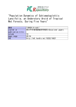 "Population Dynamics of Schismatoglottis Lancifolia, an Understory