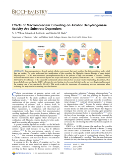 Effects of Macromolecular Crowding on Alcohol Dehydrogenase
