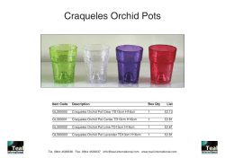Craqueles Orchid Pots