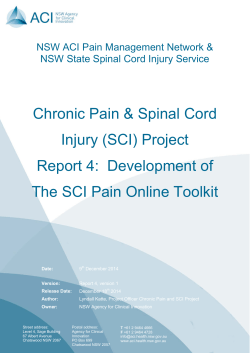 Development of The SCI Pain Online Toolkit