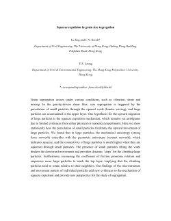 Squeeze expulsion in grain size segregation Grain segregation