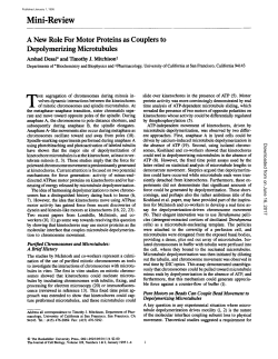 A new role for motor proteins as couplers to depolymerizing