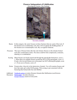 Fissures Independent of Lithification