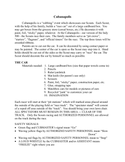 Cubanapolisinstructions