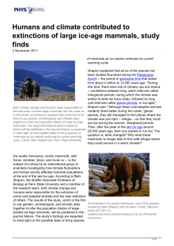 Humans and climate contributed to extinctions of large ice