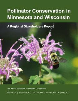 Pollinator Conservation in Minnesota and Wisconsin
