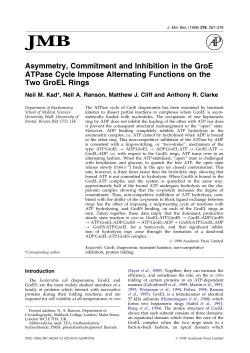 Asymmetry, Commitment and Inhibition in the GroE ATPase Cycle