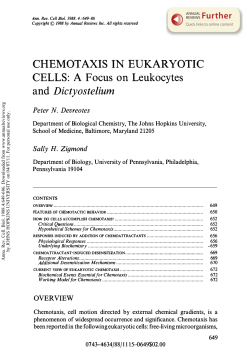 Chemotaxis in Eukaryotic Cells: A Focus on Leukocytes and