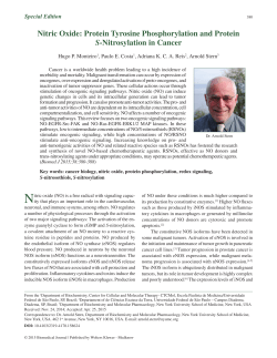 Nitric Oxide: Protein Tyrosine Phosphorylation and Protein S