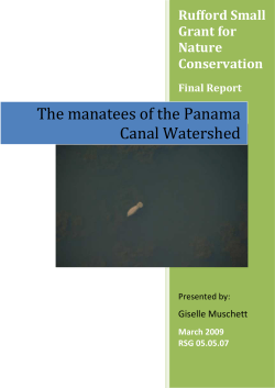 The manatees of the Panama Canal Watershed