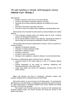 Salt marshes can range in size from a few mm`s to an entire estuary