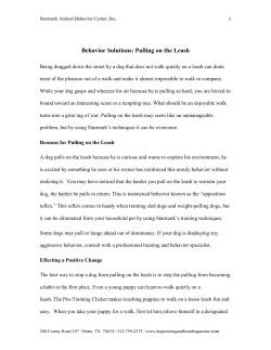 Behavior Solutions: Pulling on a Leash