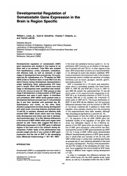 Developmental Regulation of Somatostatin Gene Expression in the