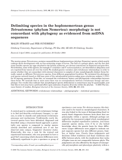 Delimiting species in the hoplonemertean genus Tetrastemma