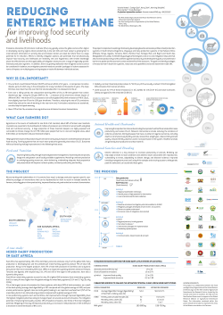 CH4 CH4 CH4 CH4 What can farmers do? Feed and Nutrition