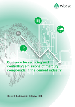 Guidance for reducing and controlling emissions of mercury
