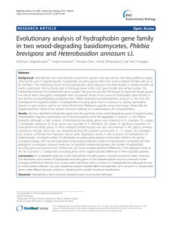 Evolutionary analysis of hydrophobin gene family in two wood