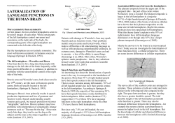 LATERALIZATION OF LANGUAGE FUNCTIONS IN THE HUMAN