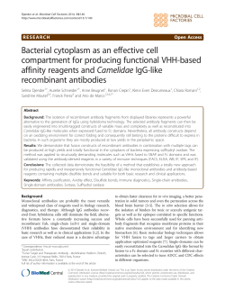 Bacterial cytoplasm as an effective cell