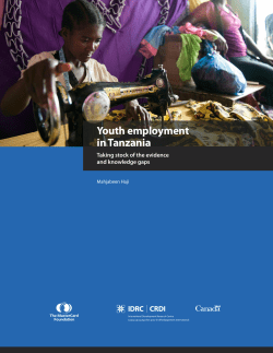 Read full report, Youth employment in Tanzania: Taking stock of the