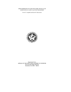 dids inhibition of sarcoplasmic reticulum anion