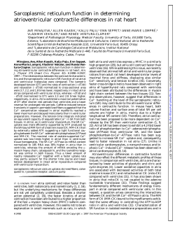Sarcoplasmic reticulum function in determining - AJP