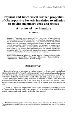 Physical and biochemical surface properties of Gram-positive