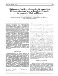Embedment Cavities in Lacustrine Stromatolites