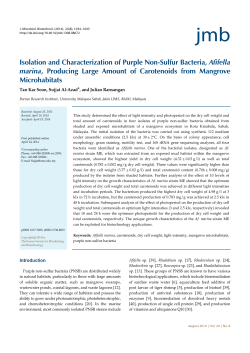 Isolation and Characterization of Purple Non