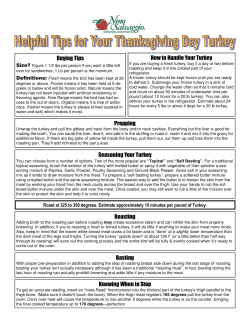 Helpful Tips for Your Thanksgiving Day Turkey