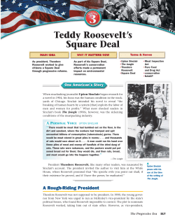 Teddy Roosevelt`s Square Deal