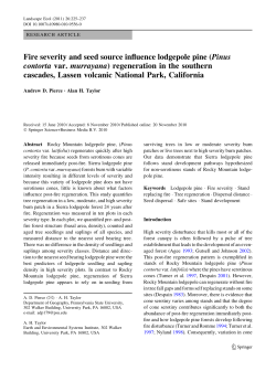 Fire severity and seed source influence lodgepole pine (Pinus