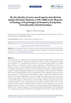 On the identity of some weevil species described by