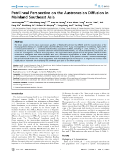 Patrilineal Perspective on the Austronesian Diffusion in