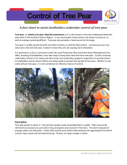 Control of Tree Pear - Southern Downs Regional Council