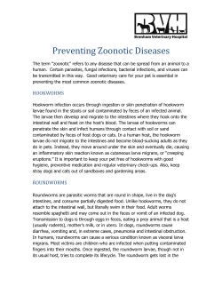 Preventing Zoonotic Diseases - Brenham Veterinary Hospital