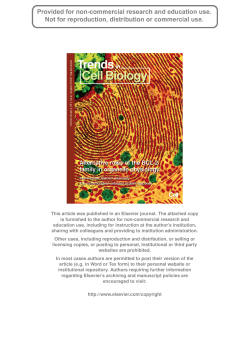 This article was published in an Elsevier journal. The attached copy