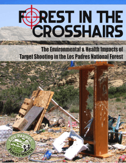 Forest in the Crosshairs