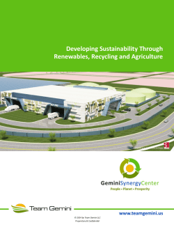 Developing Sustainability Through Renewables