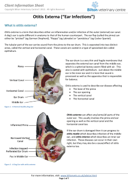 Otitis Externa CIS - the Bilton Veterinary Centre