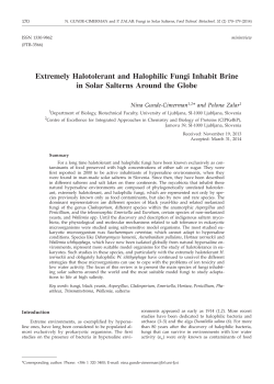 Extremely Halotolerant and Halophilic Fungi Inhabit Brine in Solar