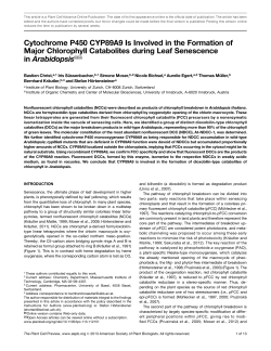 Cytochrome P450 CYP89A9 Is Involved in the