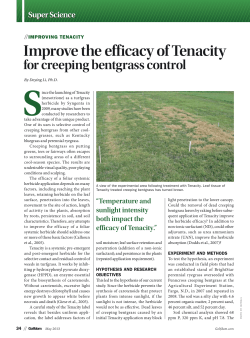 Improve the Efficacy of Tenacity for Creeping Bentgrass Control