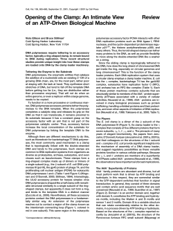 Opening of the Clamp: An Intimate View Review of an ATP