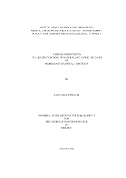 genetic impact of migratory beekeeping