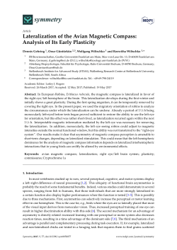 Lateralization of the Avian Magnetic Compass: Analysis of Its Early