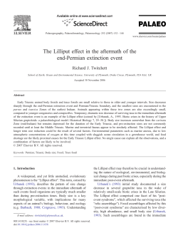 The Lilliput effect in the aftermath of the end