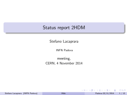 Status report 2HDM