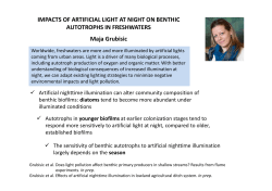 Grubisic_research work in 2 slides presentation