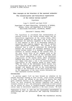 New concepts on the structure of the neuronal networks